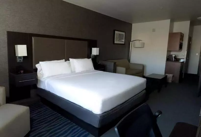 سوئیت با تخت بزرگ, Holiday Inn Express Hotel & Suites Barstow Outlet Center By Ihg