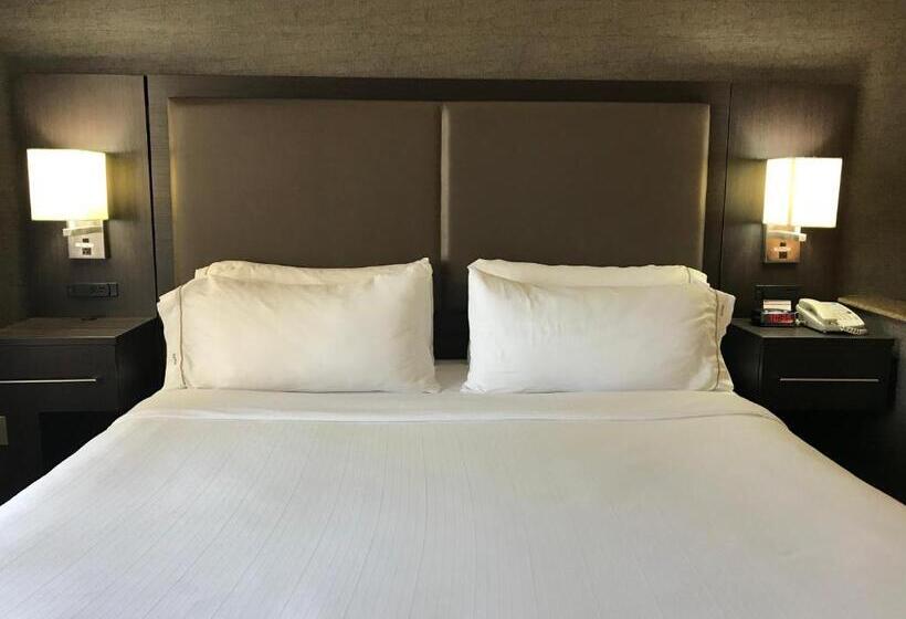 带大床的套房, Holiday Inn Express Hotel & Suites Barstow Outlet Center By Ihg