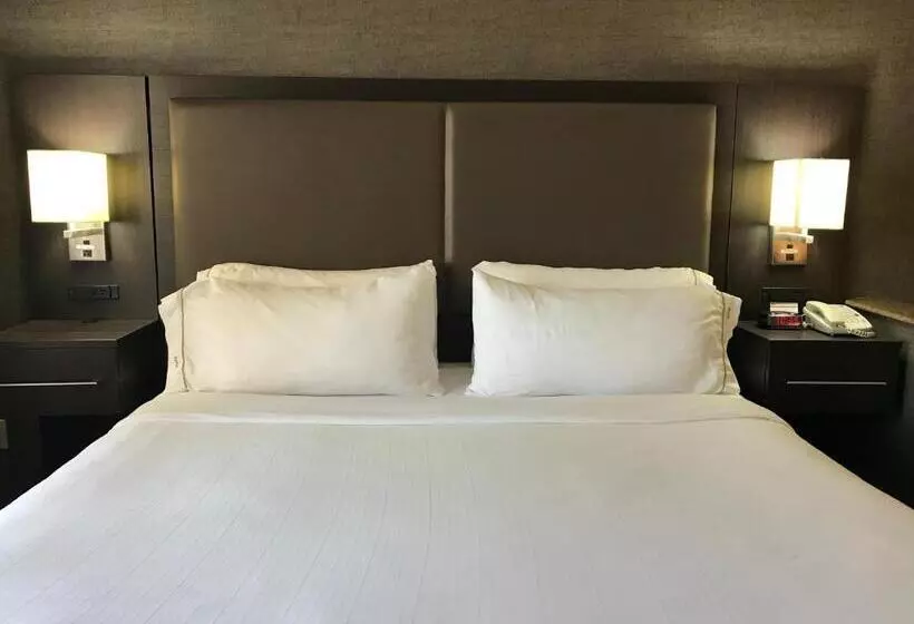 سوئیت با تخت بزرگ, Holiday Inn Express Hotel & Suites Barstow Outlet Center By Ihg