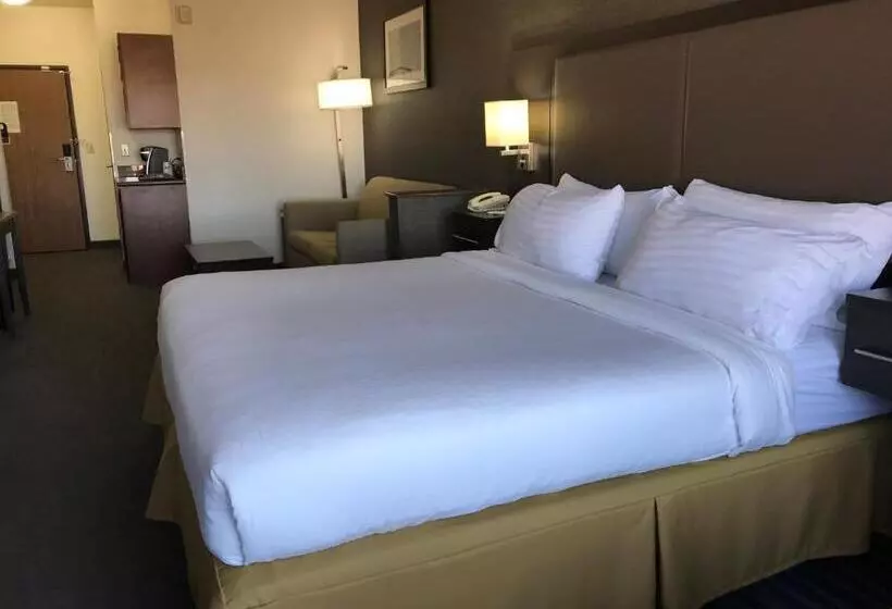 سوئیت با تخت بزرگ, Holiday Inn Express Hotel & Suites Barstow Outlet Center By Ihg