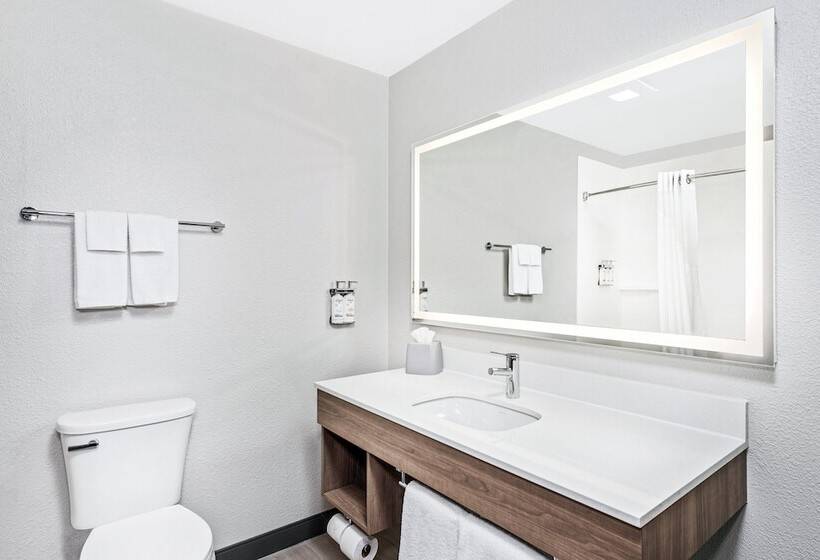 غرفة قياسية, Holiday Inn Express Hotel & Suites Chicago Algonquin, An Ihg