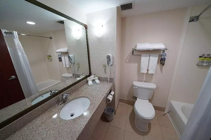 キングサイズベッドのスタンダードルーム, Holiday Inn Express Hotel & Suites Tampa Oldsmar, An Ihg