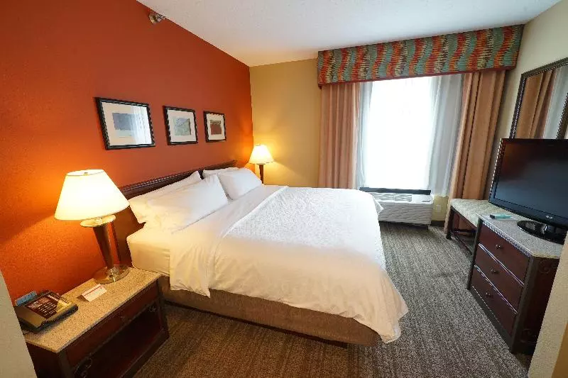 キングサイズベッドのスタンダードルーム, Holiday Inn Express Hotel & Suites Tampa Oldsmar, An Ihg