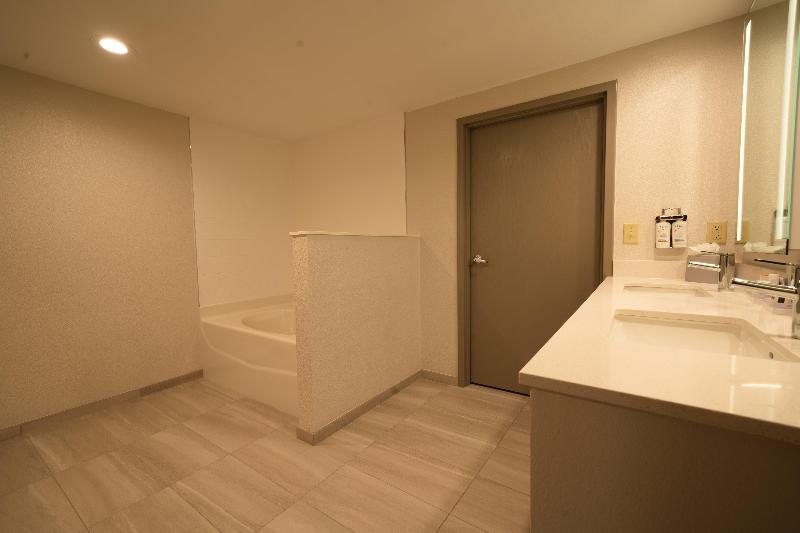 带大床的套房, Holiday Inn Express Hotel & Suites Tampa Oldsmar, An Ihg