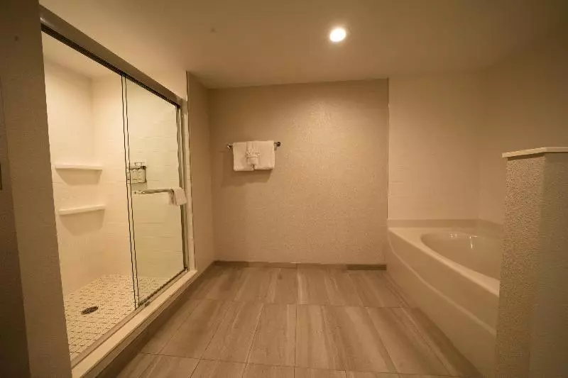 キングサイズベッドのスイートルーム, Holiday Inn Express Hotel & Suites Tampa Oldsmar, An Ihg