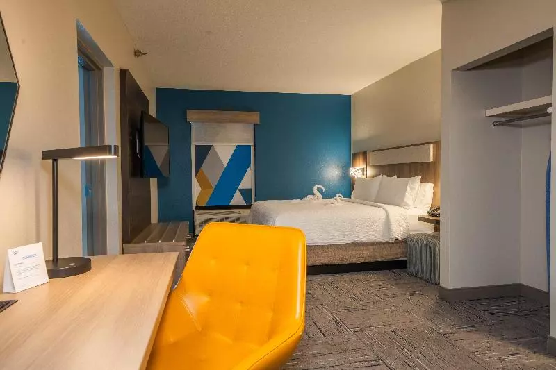キングサイズベッドのスイートルーム, Holiday Inn Express Hotel & Suites Tampa Oldsmar, An Ihg