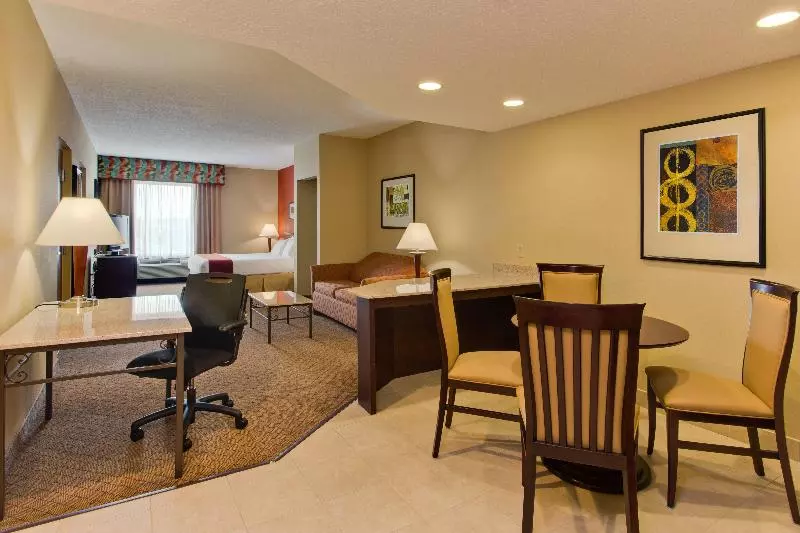 キングサイズベッドのスイートルーム, Holiday Inn Express Hotel & Suites Tampa Oldsmar, An Ihg