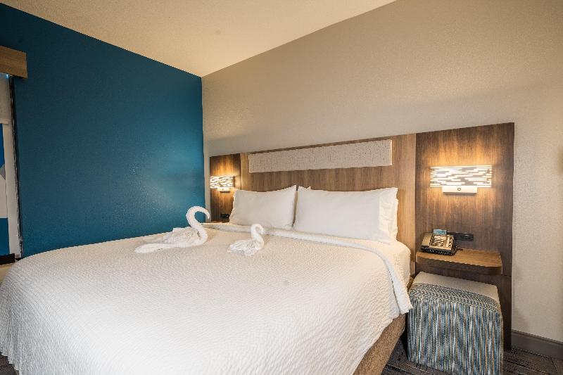 带大床的套房, Holiday Inn Express Hotel & Suites Tampa Oldsmar, An Ihg