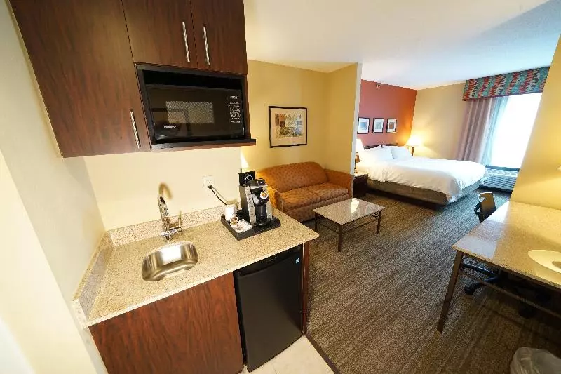 デラックスルーム, Holiday Inn Express Hotel & Suites Tampa Oldsmar, An Ihg