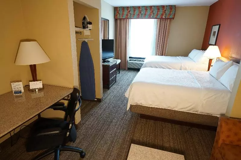 デラックスルーム, Holiday Inn Express Hotel & Suites Tampa Oldsmar, An Ihg