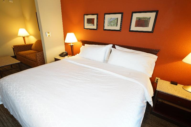 带大床的套房, Holiday Inn Express Hotel & Suites Tampa Oldsmar, An Ihg