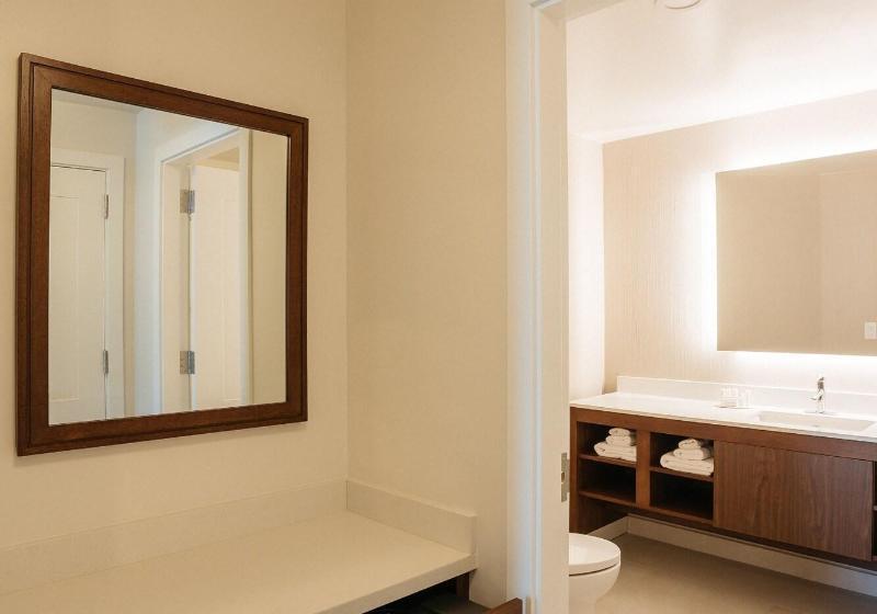 标准间, Holiday Inn Express Hotel & Suites Tampa Oldsmar, An Ihg