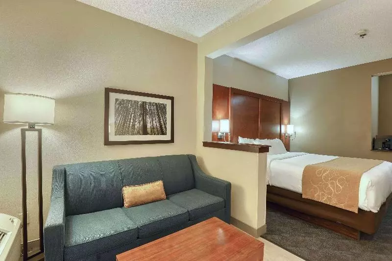 身障者適用キングサイズベッドルーム, Holiday Inn Express Hotel & Suites Tampa Oldsmar, An Ihg