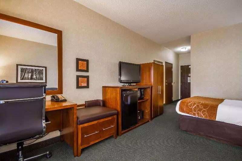 身障者適用キングサイズベッドルーム, Holiday Inn Express Hotel & Suites Tampa Oldsmar, An Ihg