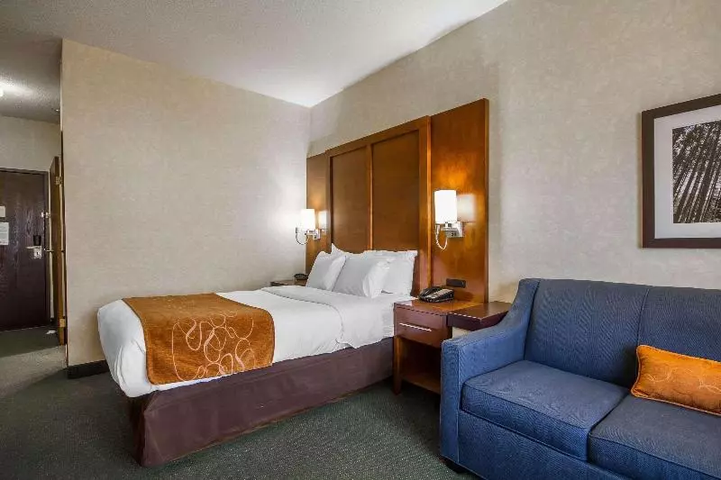 身障者適用キングサイズベッドルーム, Holiday Inn Express Hotel & Suites Tampa Oldsmar, An Ihg