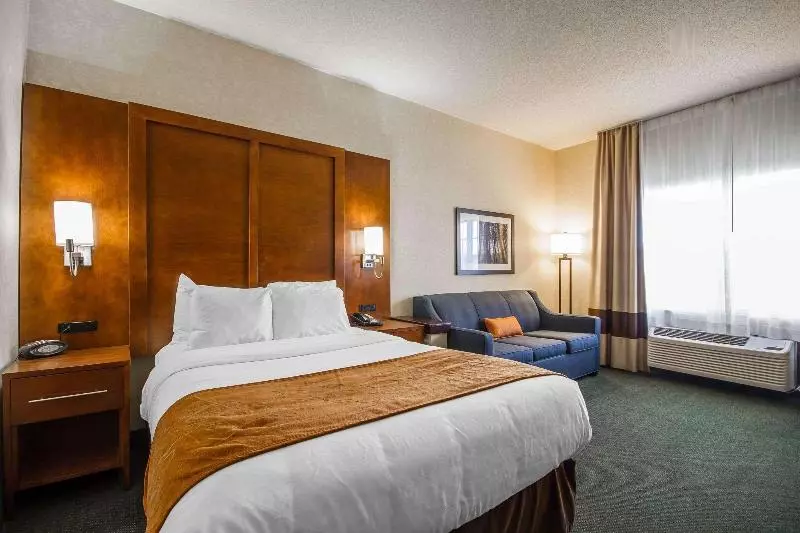 身障者適用キングサイズベッドルーム, Holiday Inn Express Hotel & Suites Tampa Oldsmar, An Ihg