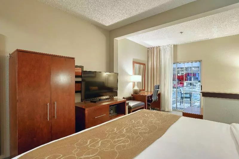 身障者適用キングサイズベッドルーム, Holiday Inn Express Hotel & Suites Tampa Oldsmar, An Ihg