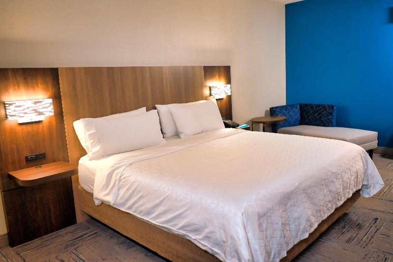 스탠다드 룸 킹사이즈 침대, Holiday Inn Express Hotel & Suites Tampa Oldsmar, An Ihg