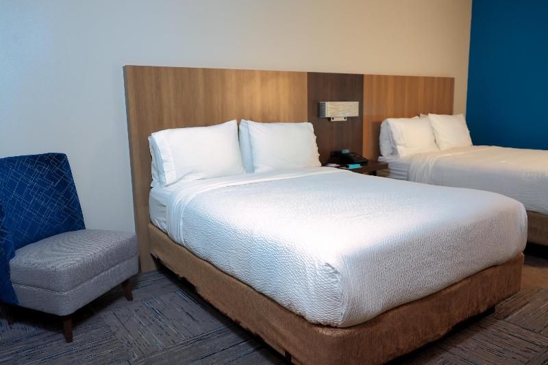 标准间, Holiday Inn Express Hotel & Suites Tampa Oldsmar, An Ihg