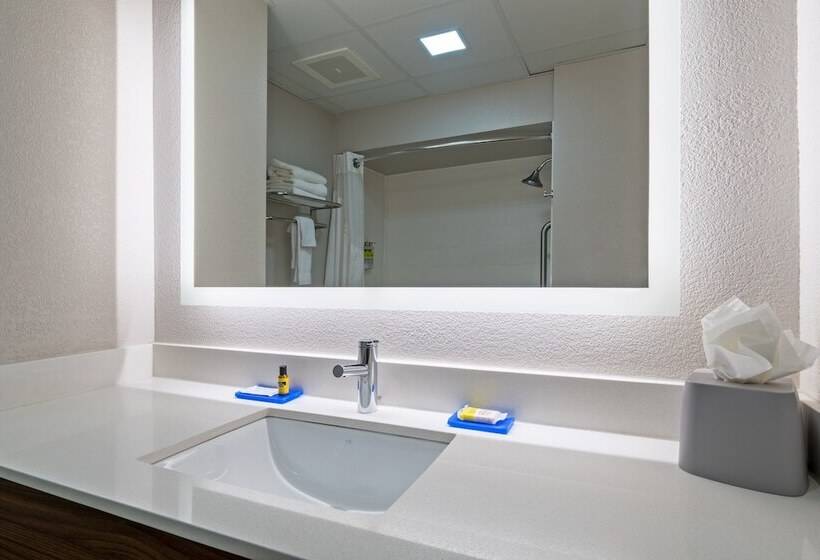 Номер Стандарт 2 Двуспальные Кровати, Holiday Inn Express Hotel & Suites Woodbridge, An Ihg