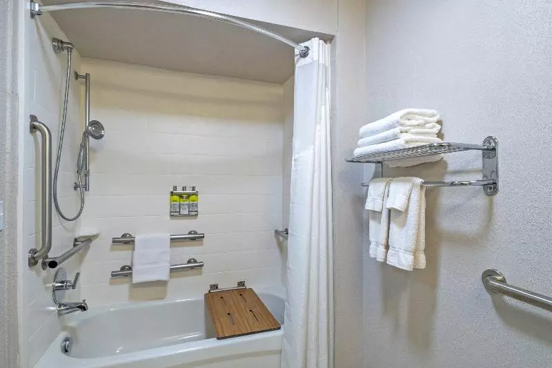 身障者適用キングサイズベッドルーム, Holiday Inn Express Hotel & Suites Woodbridge, An Ihg