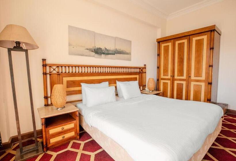 اتاق استاندارد با چشمانداز شهر, Om Kolthoom