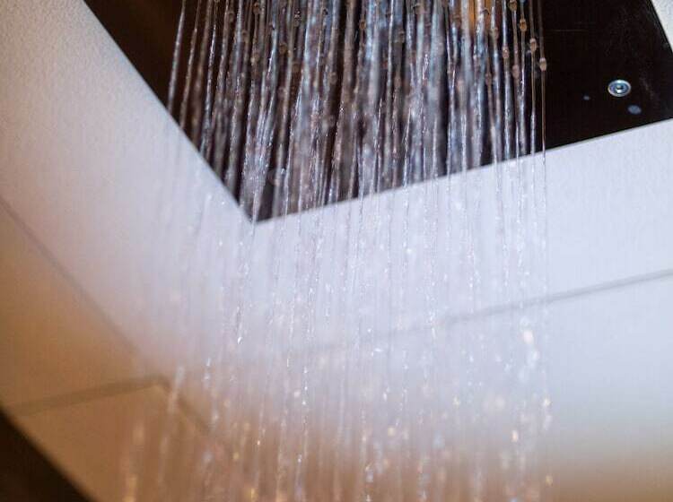 Номер Superior, Senator Cádiz