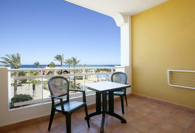 스탠다드 룸, Playazimbali