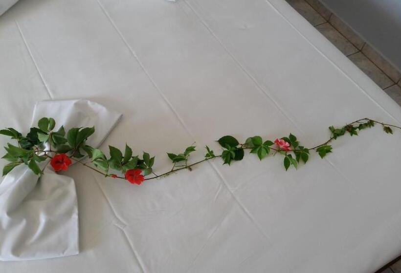 اتاق استاندارد با چشمانداز دریا, Astir Palace