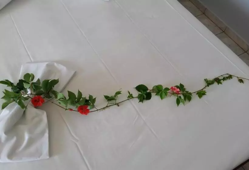 اتاق استاندارد با چشم‌انداز دریا, Astir Palace