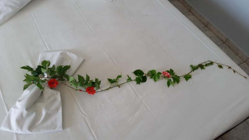 اتاق استاندارد یک نفره, Astir Palace