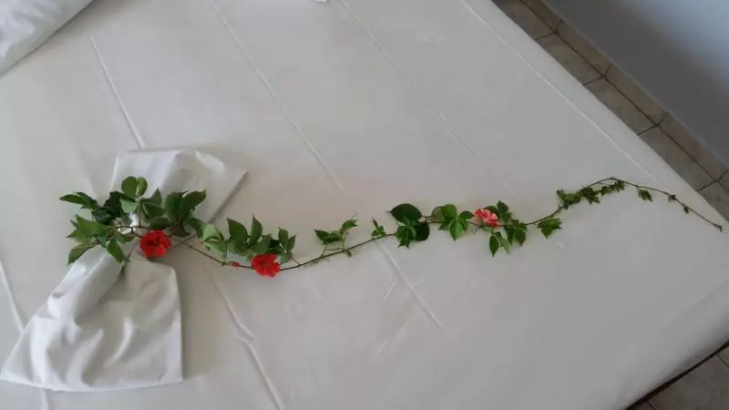 اتاق استاندارد یک نفره, Astir Palace