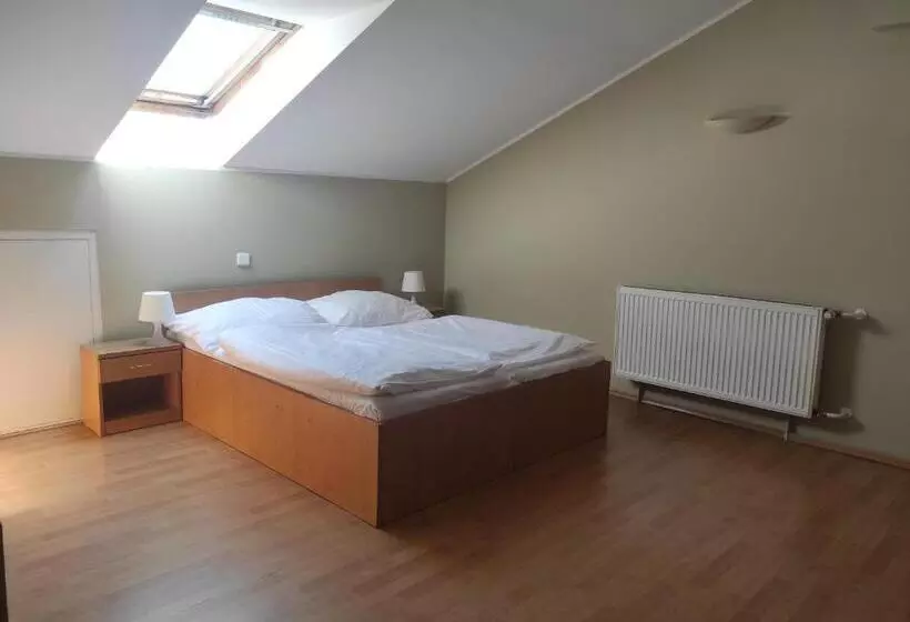 Apartament Deluxe 1 Dormitori, Brixen