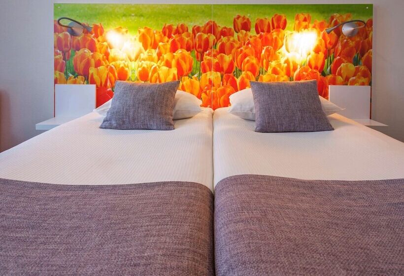 标准间, Ibis Styles Amsterdam City