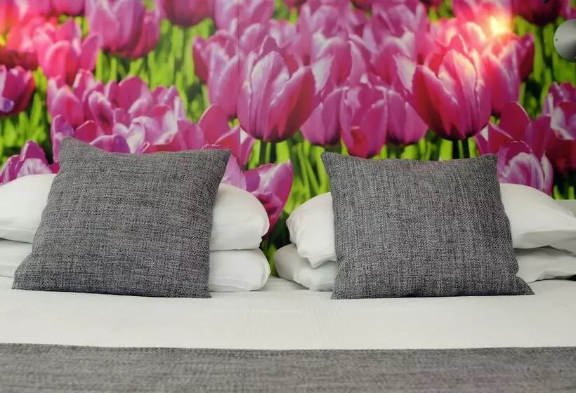 اتاق خانوادگی, Ibis Styles Amsterdam City