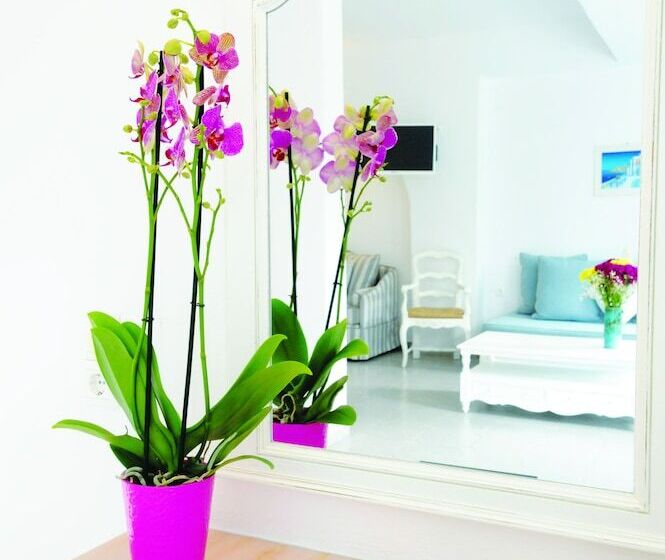 Family Suite, Kamari