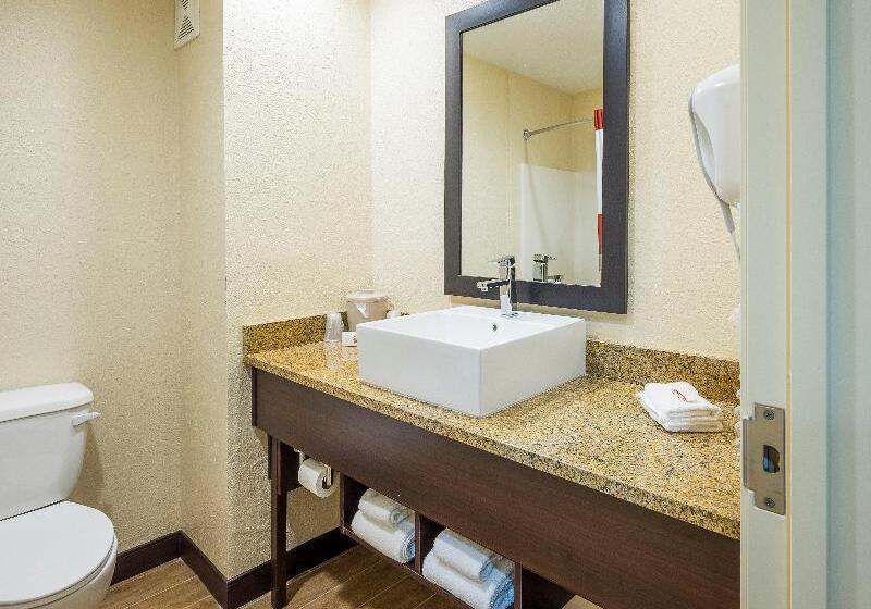 标准间, Nuova Mestre