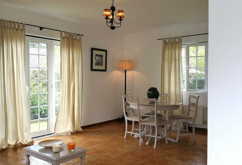 بنجلو قياسى, Solar Do Conde Garden