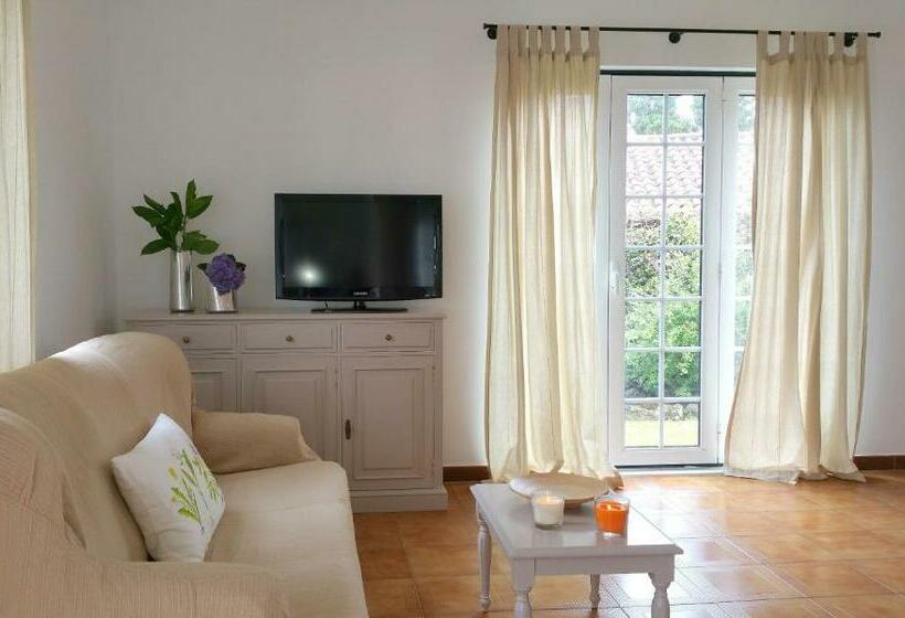 بنجلو قياسى, Solar Do Conde Garden