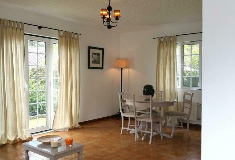 بنجلو قياسى, Solar Do Conde Garden