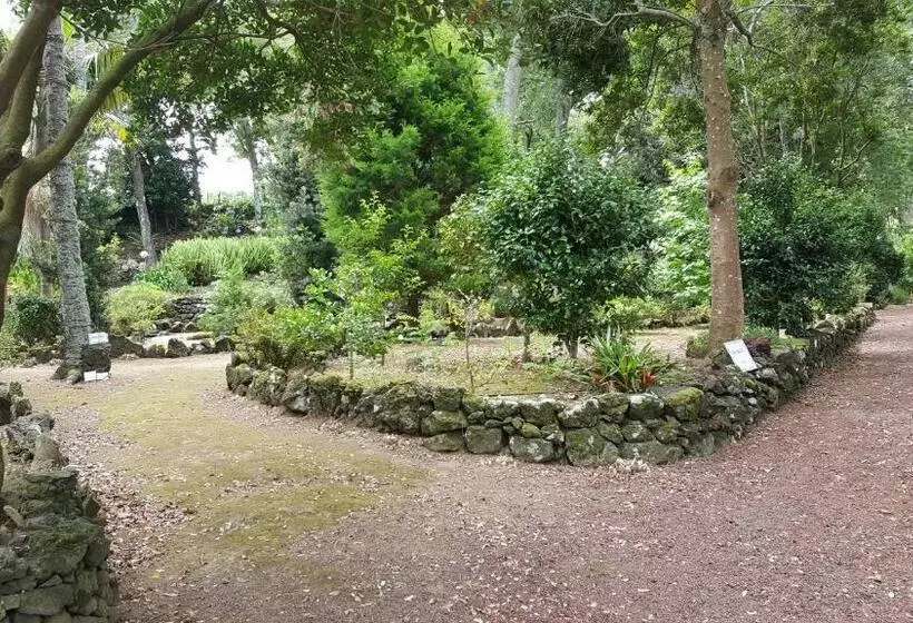 بانگلوی استاندارد, Solar Do Conde Garden