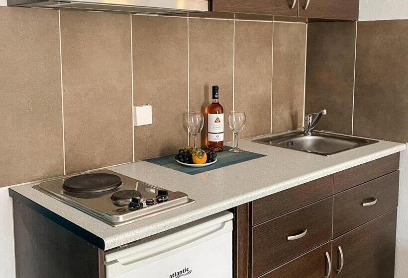 إستديو قياسى مزود بشرفة, Stratos