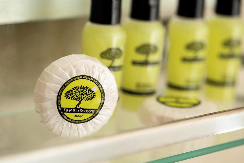 חדר סטנדרט לשלושה, Telioni