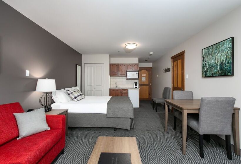 스탠다드 룸, Tour Des Voyageurs