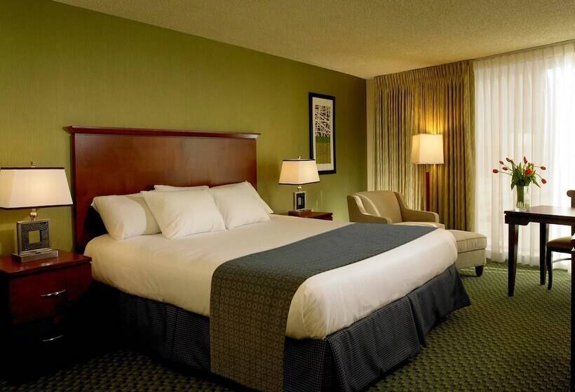 חדר דלוקס, The Aquarius Casino Resort, Bw Premier Collection