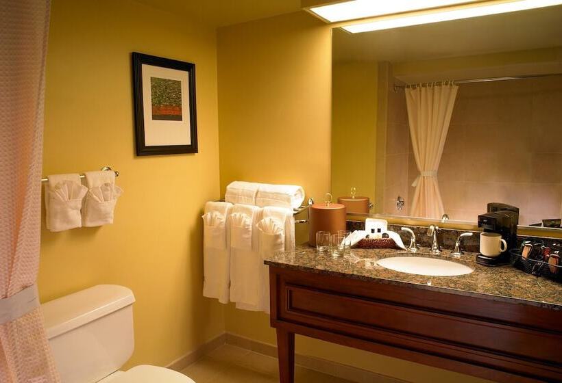 اتاق استاندارد با 2 تخت دوبل, The Aquarius Casino Resort, Bw Premier Collection