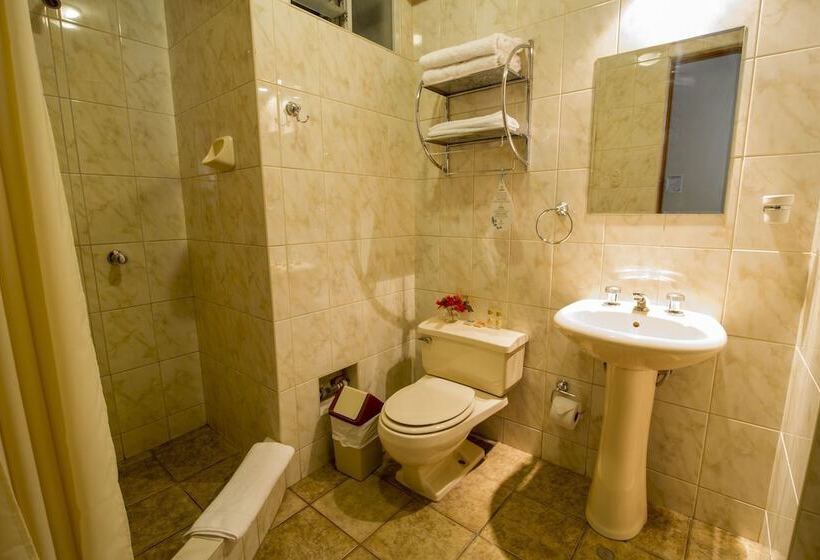 חדר סטנדרט יחיד, Arawi Pastoruri