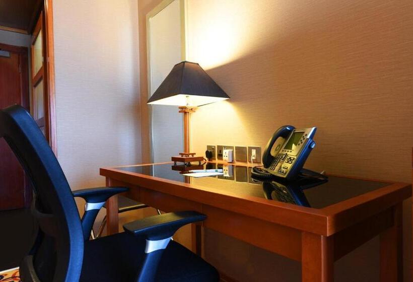 اتاق استاندارد با تخت بزرگ, Holiday Inn Kuwait By Ihg