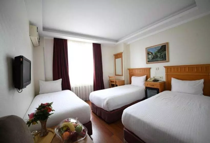 スタンダードルーム, Park Star Hotel Taksim