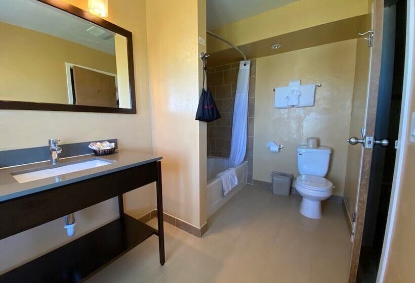 デラックスルーム, The Morgan Hotel San Simeon